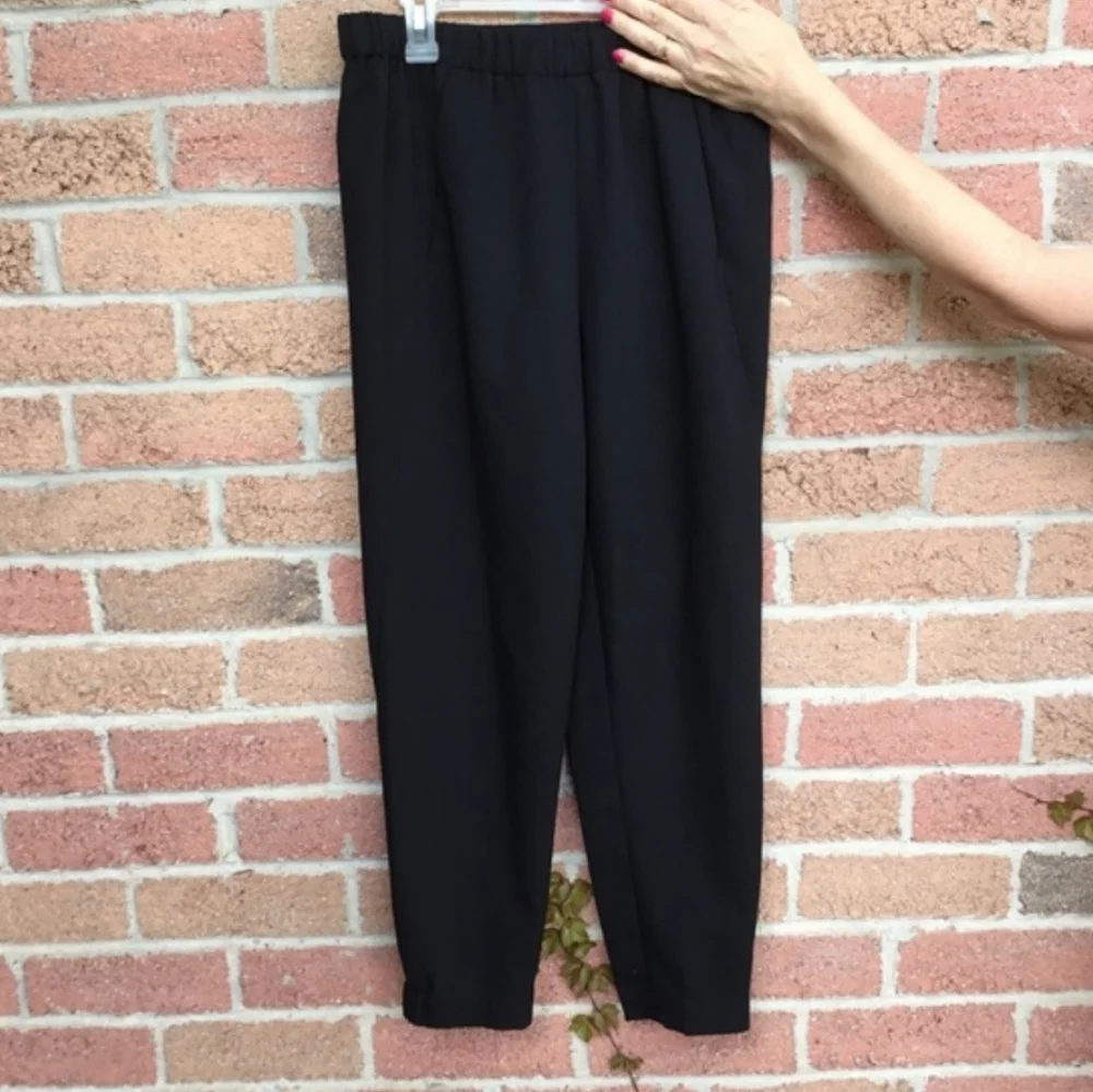 Aritzia Black Cropped Ankle Pants - Picture 7 of 12